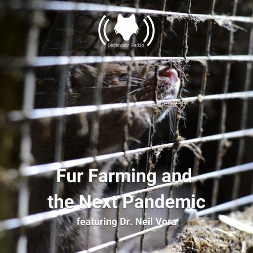 Fur Farming and the Next Pandemic featuring Dr. Neil Vora
