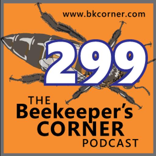 BKCorner Episode 299 - Observations
