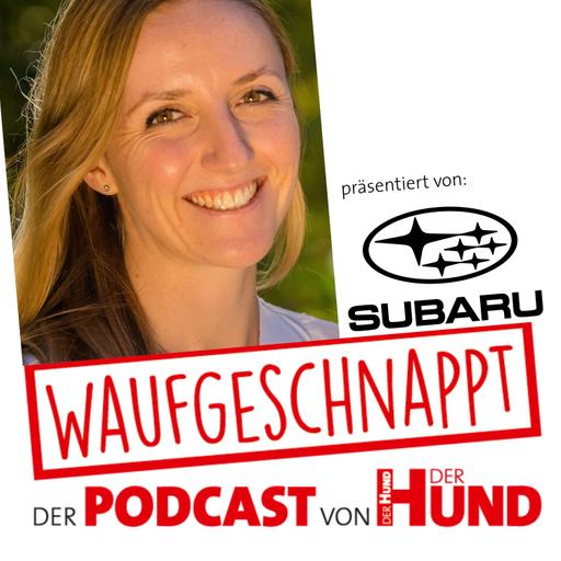 Futterdeklarationen - Dr. med. vet. Lilly Baum
