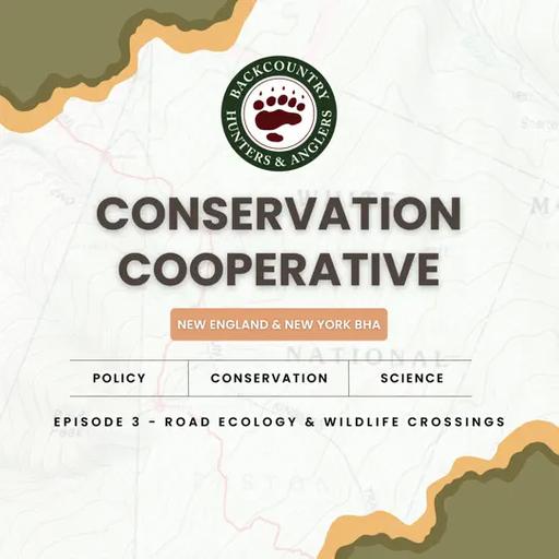 Conservation Cooperative, Ep. 3: Wildlife Crossings