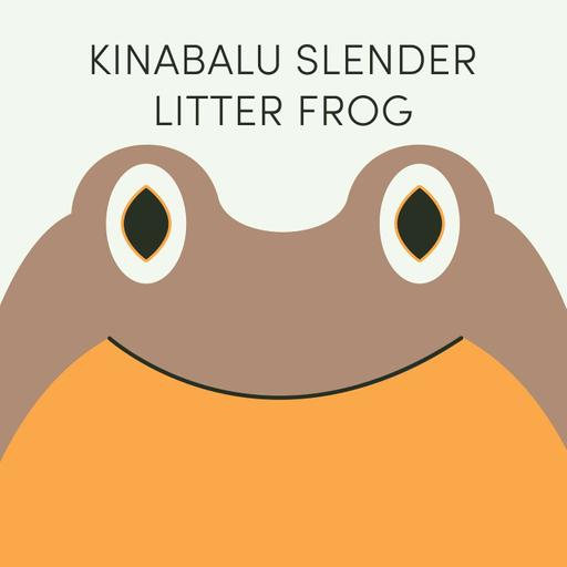 Kinabalu Slender Litter Frog | Week of June 1st