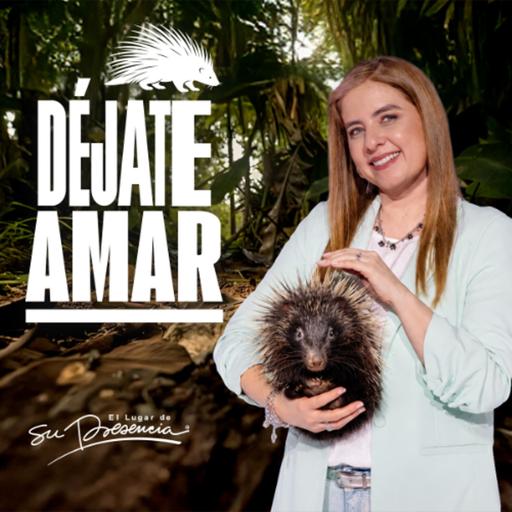 Déjate amar - Natalia Nieto