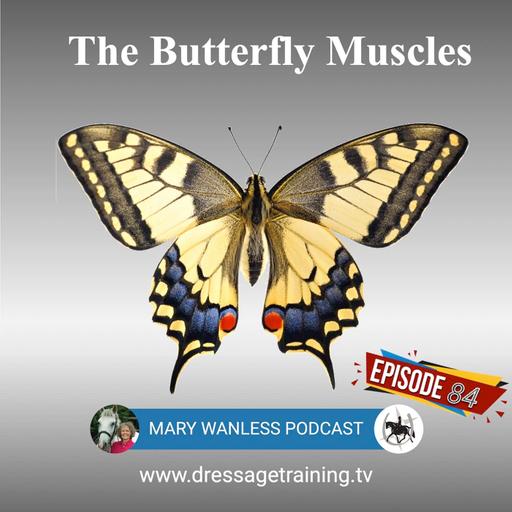 Ep 84. The Butterfly Muscles