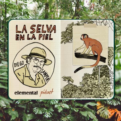 La selva en la piel