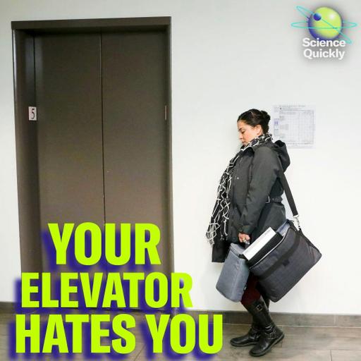The math behind your daily annoyances