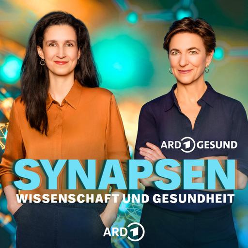 Tipp: SYNAPSEN live in Geesthacht!