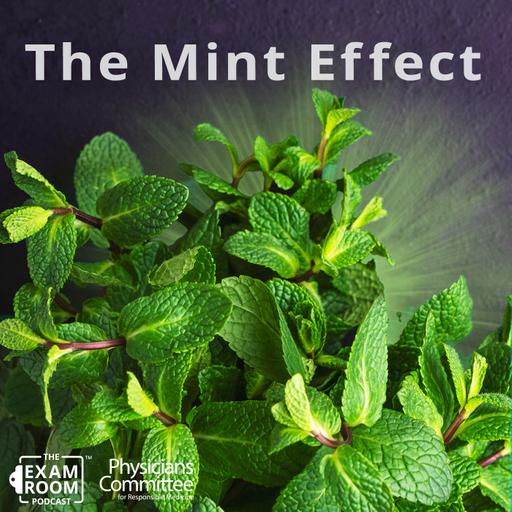 12 Surprising Health Benefits of Mint | Dr. Hana Kahleova