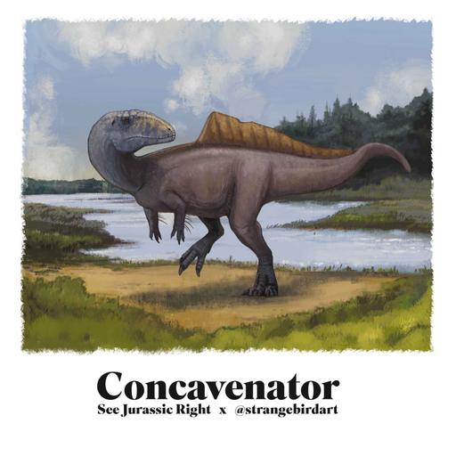 CONCAVENATOR (Jurassic June 2026 with Andrea Ciofalo aka @Strangebirdart!)