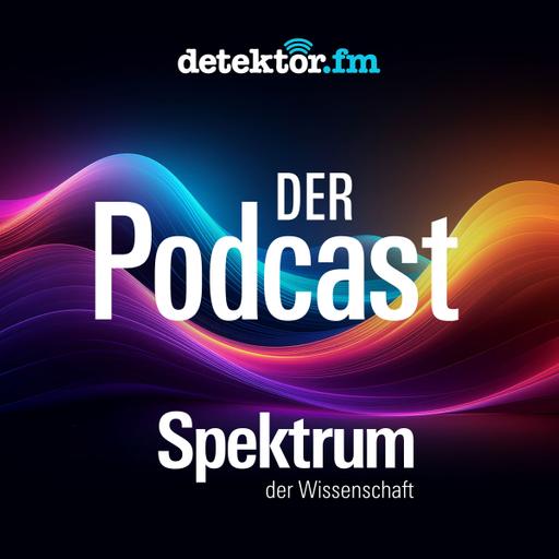 Welttag der Ozeane: Wie geht es unseren Meeren?