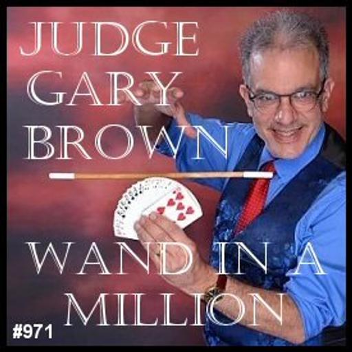 971: Judge Gary Brown - Wand in a Million
