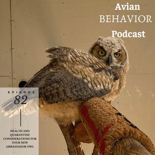 From our Owl Ambassador Masterclass: Health and Quarantine Considerations with Your New Owl