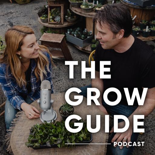 How To Effectively Fertilize Your Garden ORGANICALLY with Sheldon Gesell from Dirt n' Grow