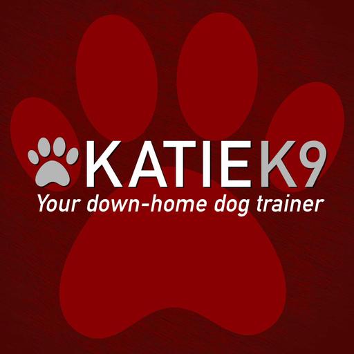 6/7/26 | Hr 2: Short Walks & Kiddie Pools