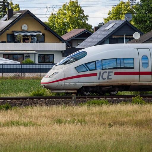 Kostenlose Jugend-Bahncard | Stille Stunde | Hospiz-Projekt ab 27 | Schutz für einen Baum | Vorfreude macht glücklicher