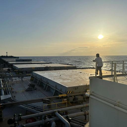 The implementation of the Maritime Labour Convention in times of crisis