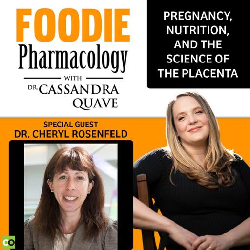 Pregnancy, Nutrition, and the Science of the Placenta with Dr. Cheryl Rosenfeld | Foodie Pharmacology with Dr. Cassandra Quave