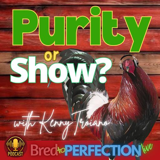 Ep293 - Purity and Show Go Hand-in-Hand: Why the Best Birds Are Always One Bird