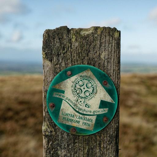 Season 5, Episode 20: A View From Wales with Marc Williams