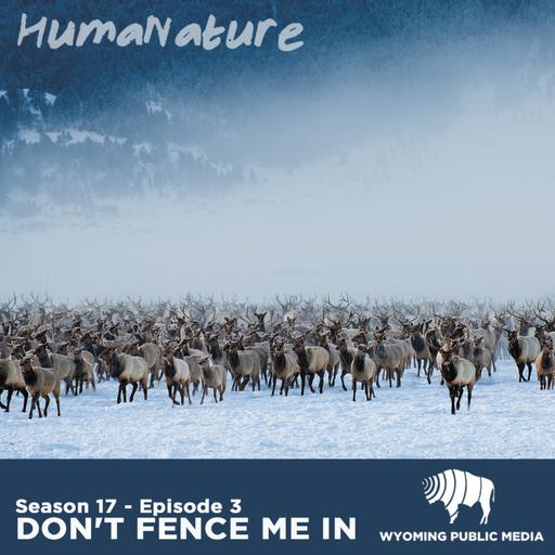 Don't Fence Me In