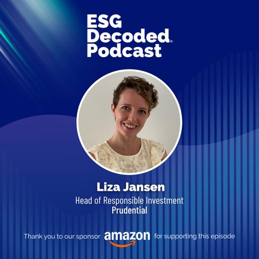 Financing the Transition: Climate Investment & Insurance Risk | ESG Decoded Podcast #194