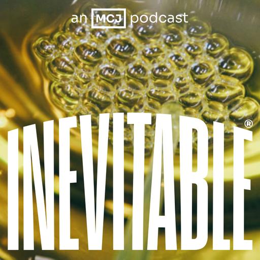 The Domestic Premium: Can American Manufacturing Compete?