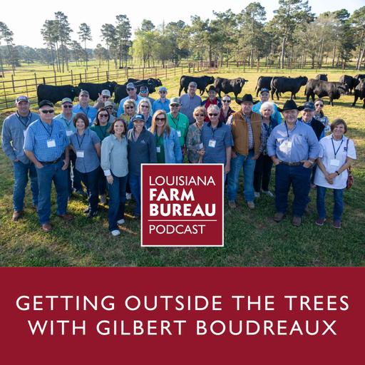 Getting Outside the Trees with Gilbert Boudreaux