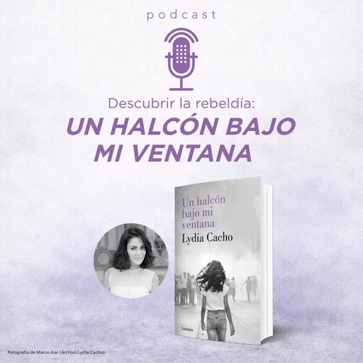 Descubrir la rebeldía: Un halcón bajo mi ventana