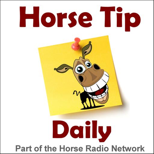 1640: Set Your Horse Up For Success in the Show Ring, by Sentinel Horse Nutrition