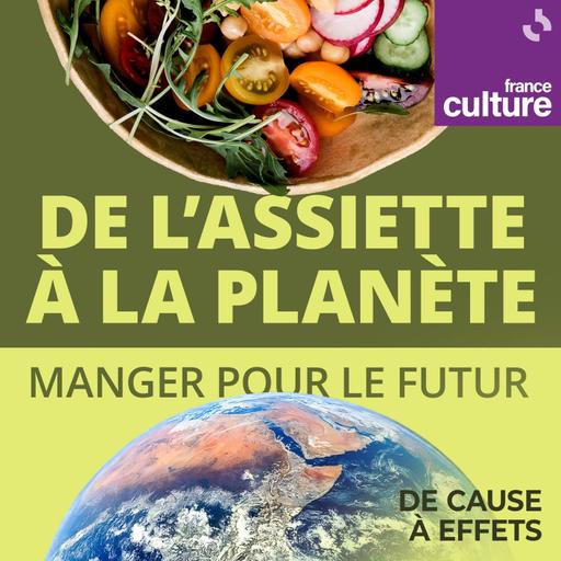 De l’assiette à la planète : manger pour le futur : La révolution alimentaire, à moindre coût !