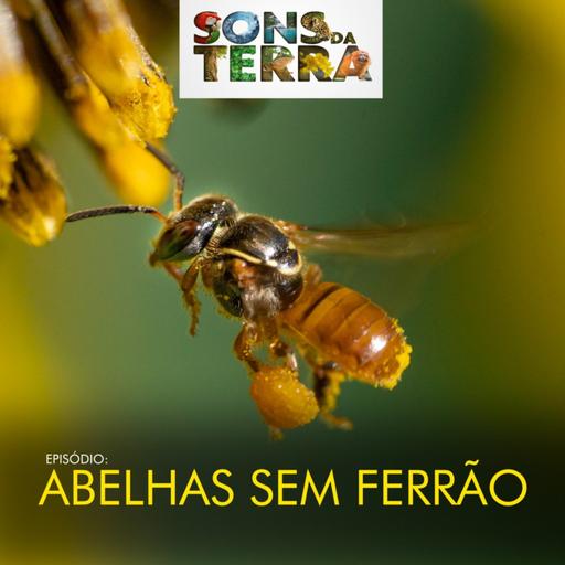 Abelhas sem ferrão