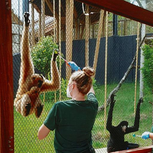 When Safety Goes Wild: Lessons from the Akron Zoo