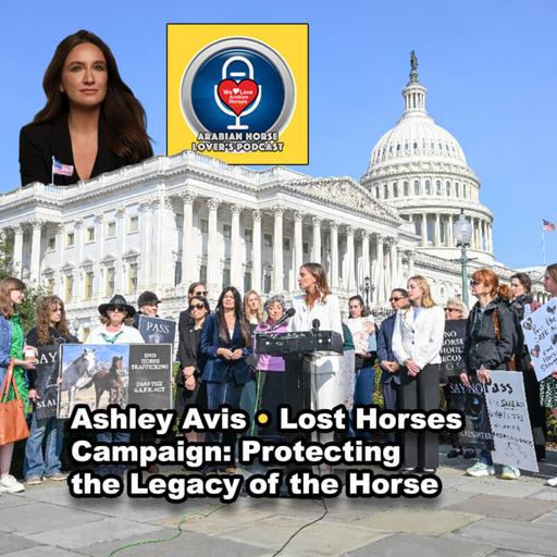 Ashley Avis • Lost Horses Campaign: Protecting the Legacy of the Horse