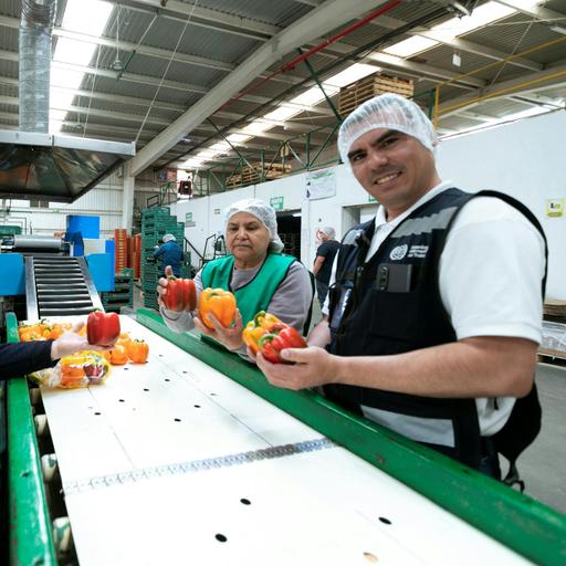 Good jobs, strong businesses: productivity and responsible business conduct