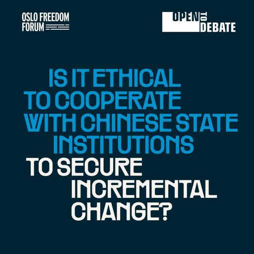 Is It Ethical To Cooperate With Chinese State Institutions To Secure Incremental Change?