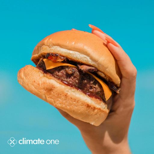 Medium Rare: What’s Next For Meat?
