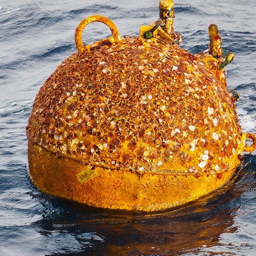 How childhood environments shape the brain, and how susceptible is the Atlantic Ocean’s current to climate change?