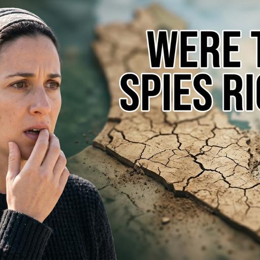 Hasbara - Inside and Out