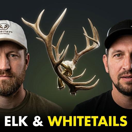 Elk & Western Whitetails