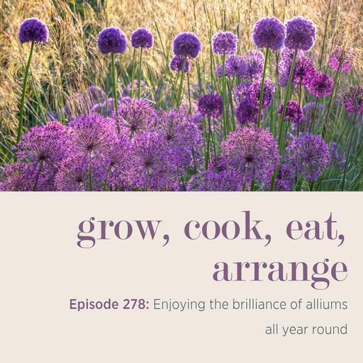 Enjoying the brilliance of alliums all year round - Episode 278