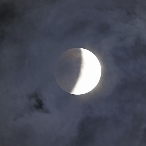 903-Eclipse of the Moon Observing