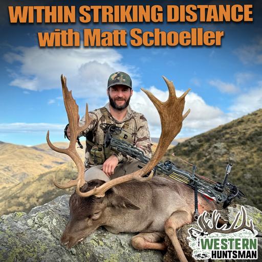 Within Striking Distance with Matt Schoeller
