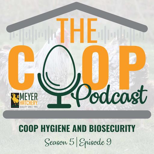 Chicken Coop Cleaning and Biosecurity Made Simple