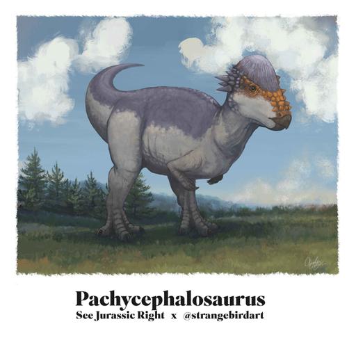 PACHYCEPHALOSAURUS (Jurassic June 2026 with Andrea Ciofalo aka @Strangebirdart!)