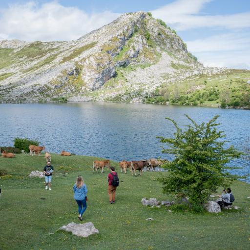 SER Aventureros | Asturias se consolida como refugio climático: "Cada vez viene más gente buscando frescor y poder dormir por las noches"