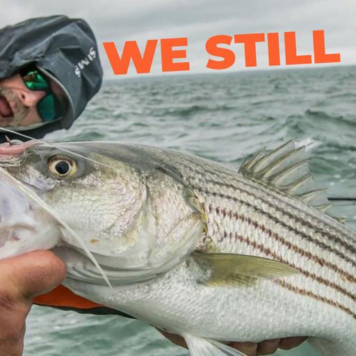 The Rest of the Story: Rhode Island's Bonito & False Albacore Decision with Tony Friedrich