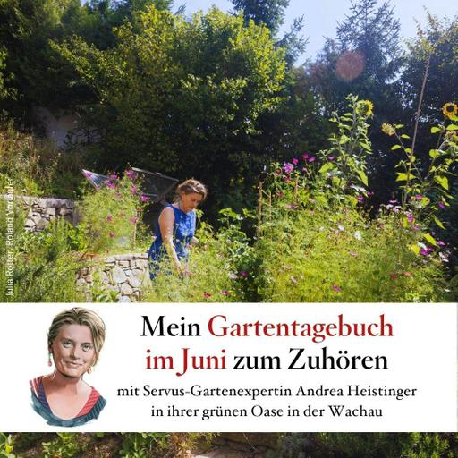 Mein Gartentagebuch im Juni – mit Andrea Heistinger