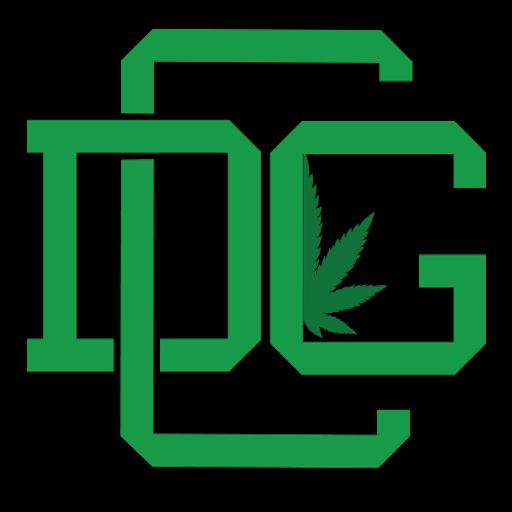 Competition Winning Cannabis Lessons from This Years DGC Cup