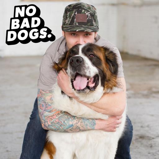 E387- Fake Dog Trainer Ruined This Dog... Can We Fix Him?