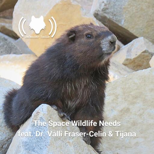 The Space Wildlife Needs feat. Dr. Valli Fraser-Celin & Tijana