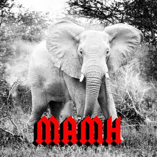 Ep 233: White Elephant Party